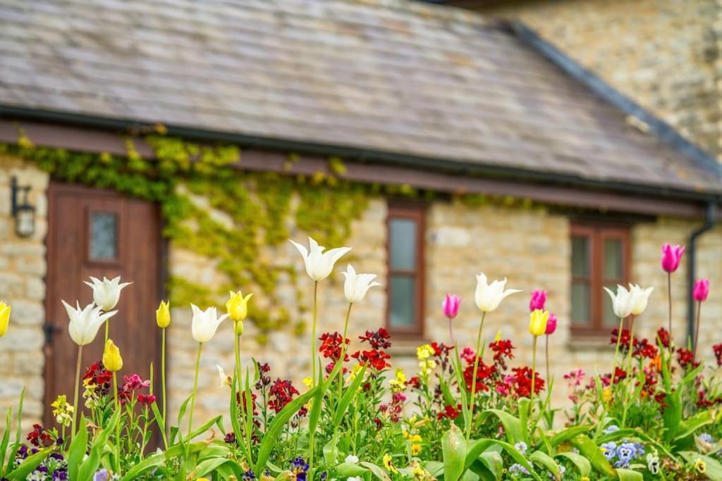 Photo of Others in Chackmore