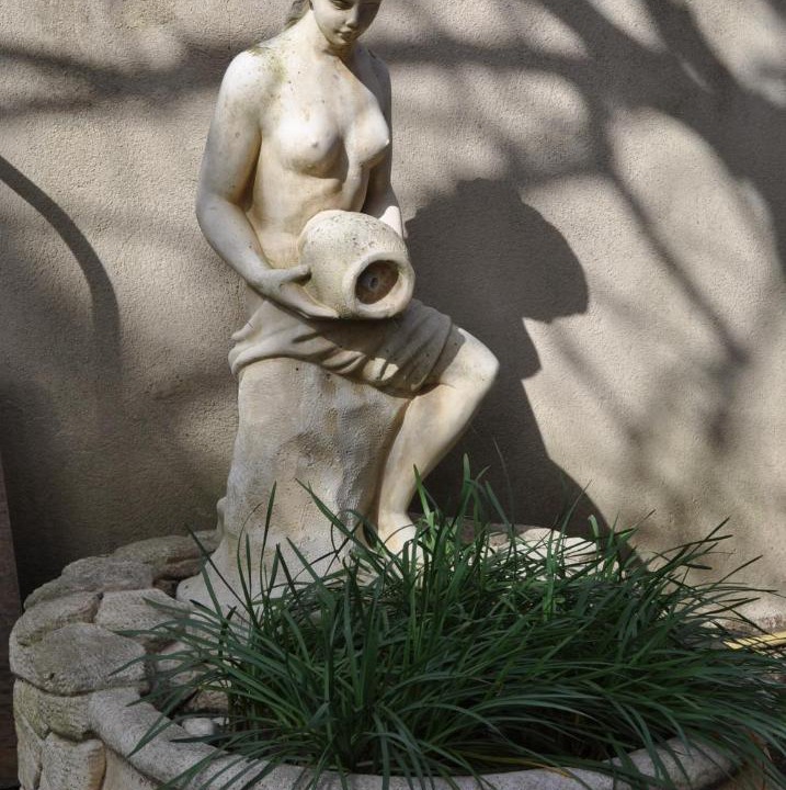 Photo of Others in Carcassonne