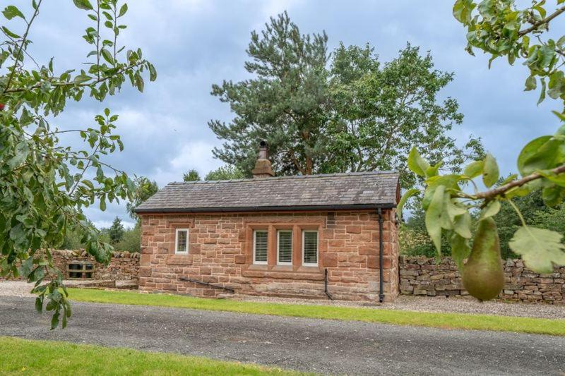 Photo of Buildings in Penrith