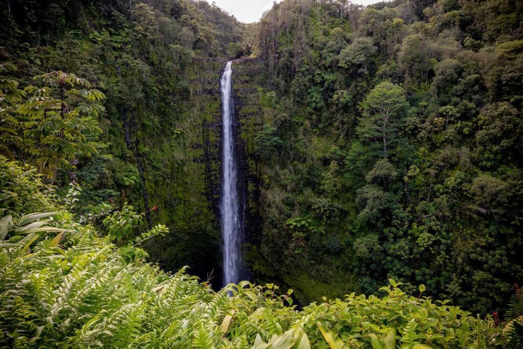 Photo of Others in Kahaluu Bay
