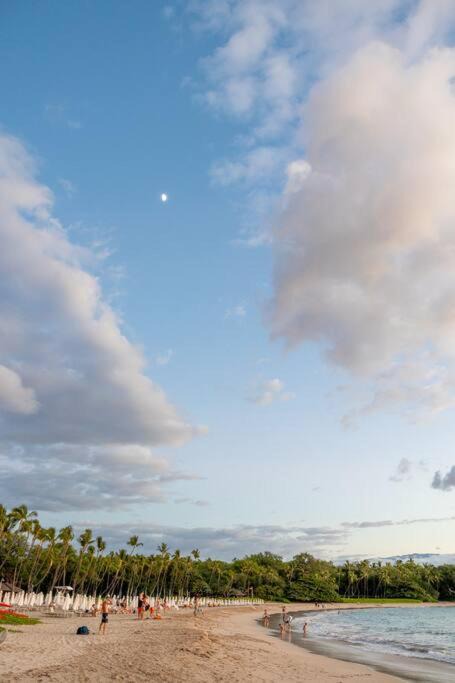 Photo of Others in Kahaluu Bay