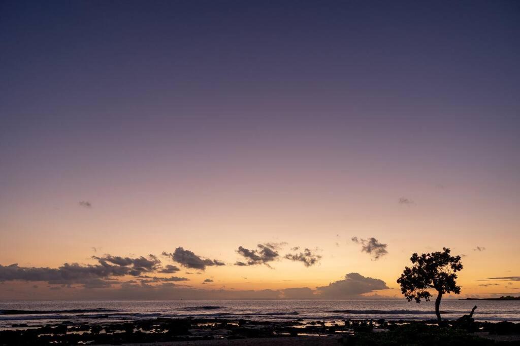 Photo of Others in Kahaluu Bay