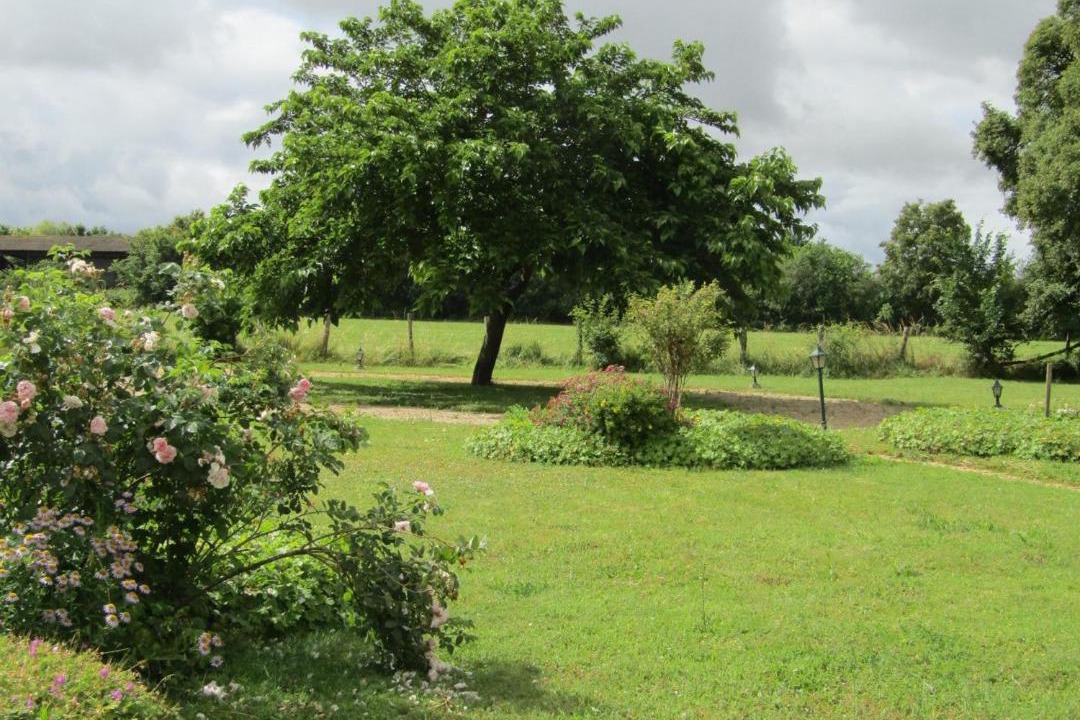 Photo of Others in Channay-sur-Lathan