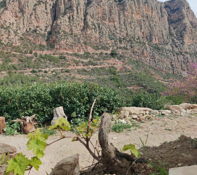 Photo of Others in Collbato