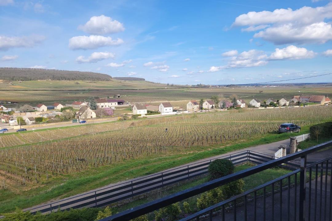 Photo of Others in Savigny-les-Beaune