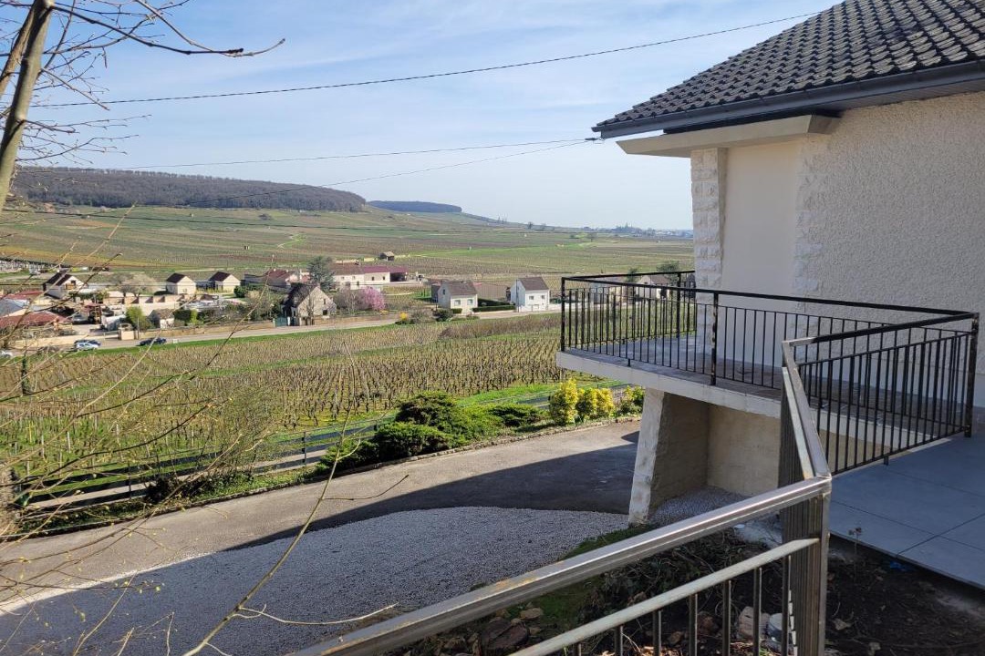 Photo of Others in Savigny-les-Beaune