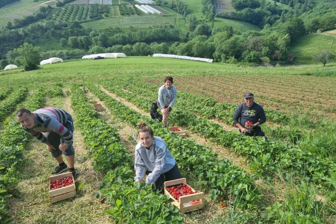 Photo of Others in Courzieu