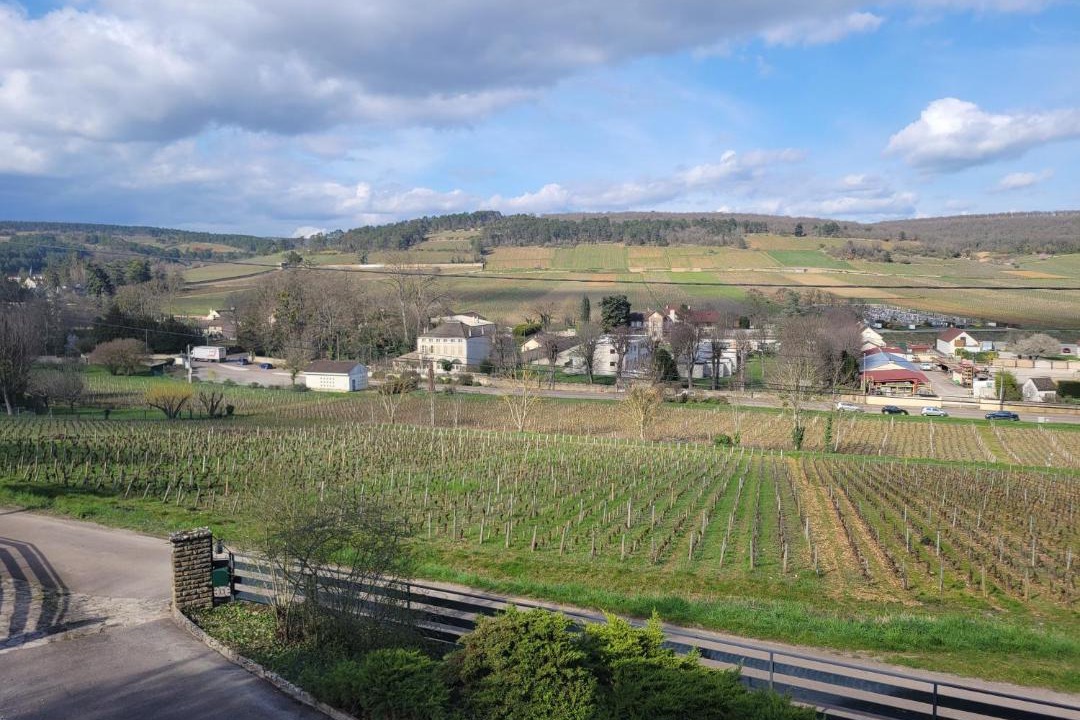 Photo of Others in Savigny-les-Beaune