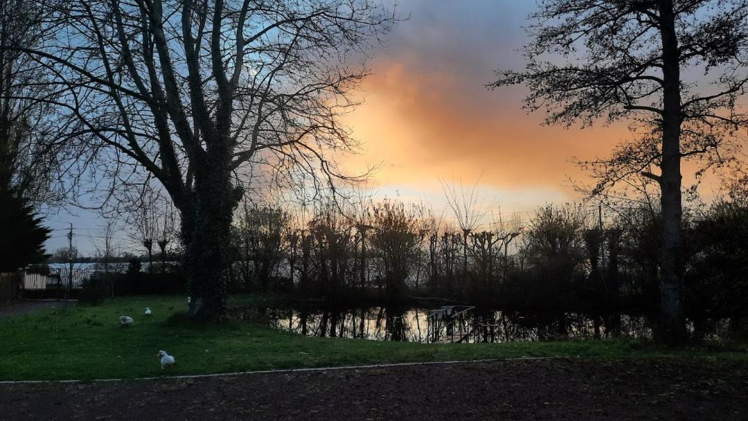 Photo of Others in Allonnes