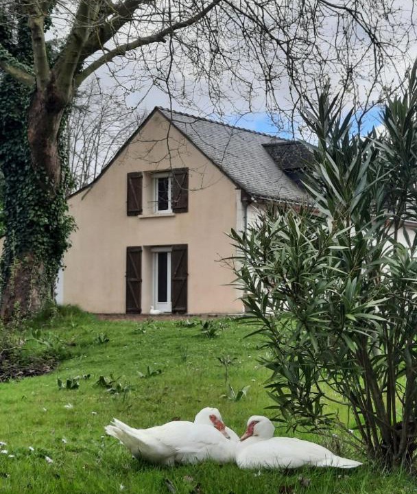 Photo of Buildings in Allonnes