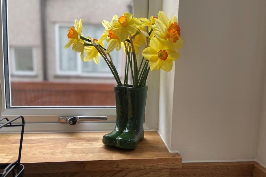 Photo of Others in Wrexham