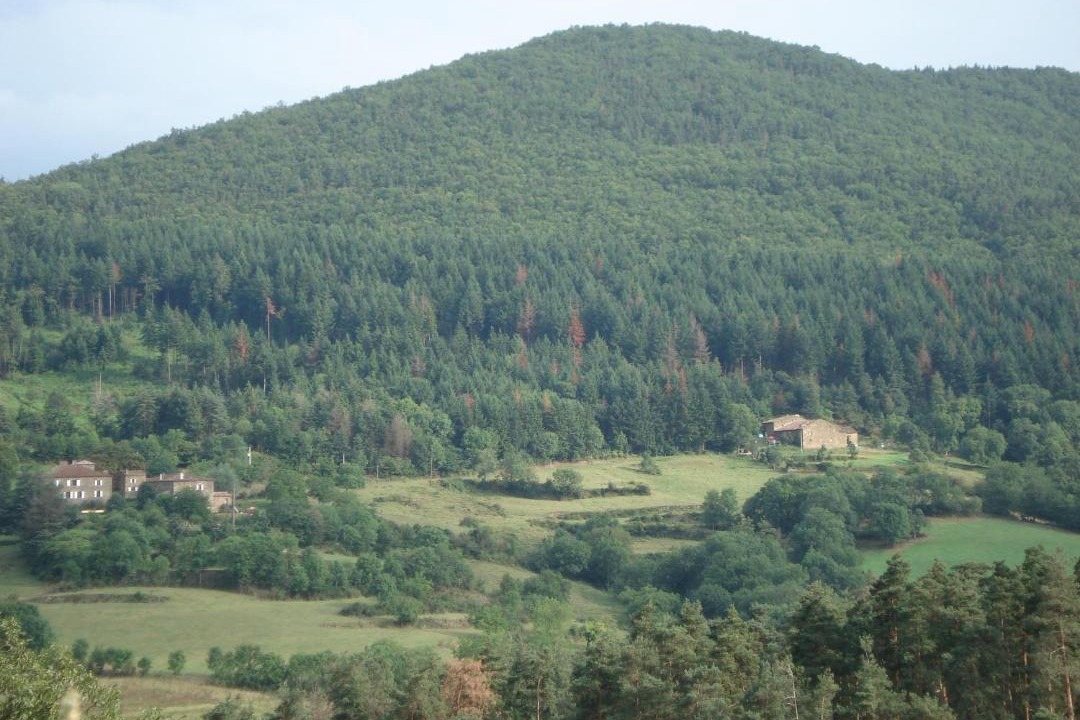 Photo of Others in Bozas