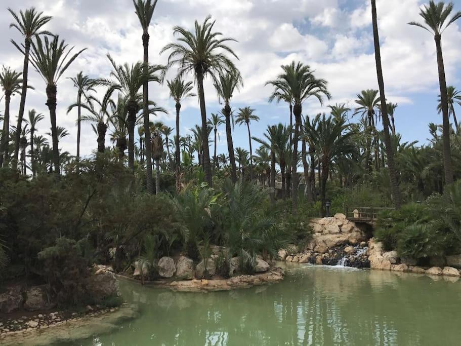 Photo of Outdoor in Campoamor