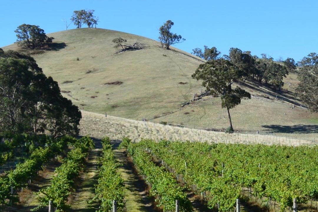 Photo of Others in Mount Cole