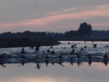 Photo of Others in Servon