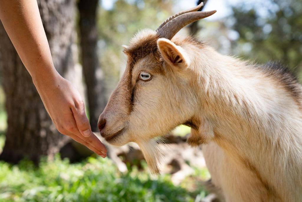 Photo of Others in San Marcos