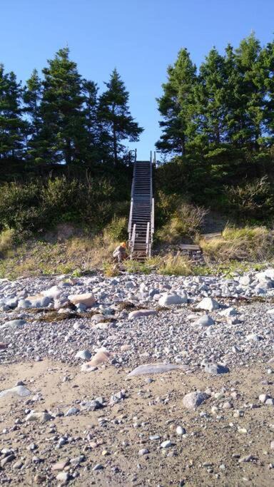 Photo of Others in Guysborough County