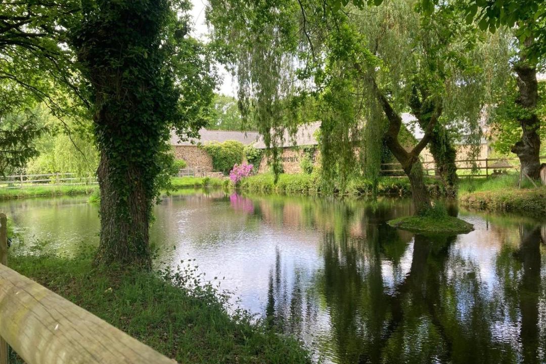 Photo of Others in Hede