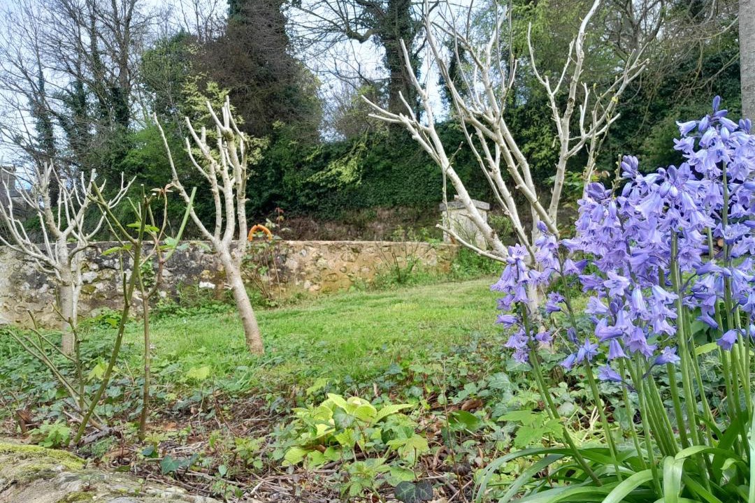 Photo of Others in Remalard-en-Perche