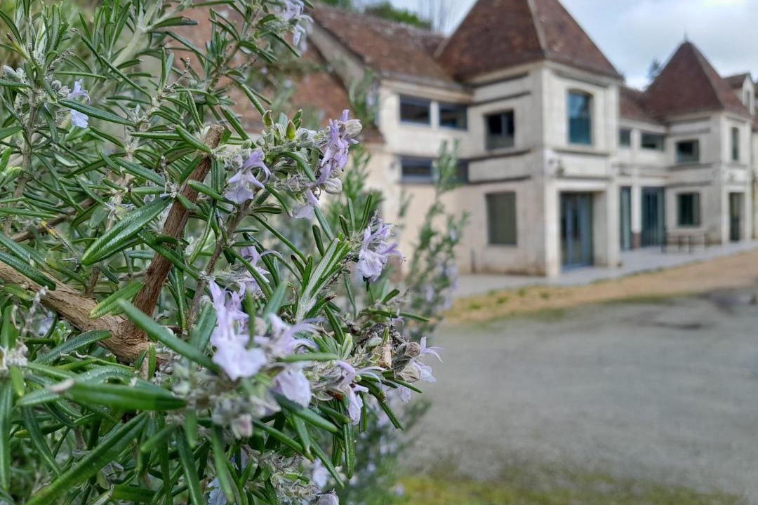 Photo of Others in Remalard-en-Perche