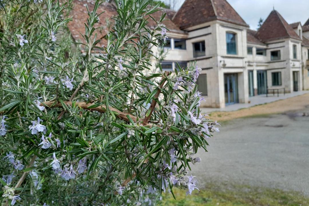 Photo of Others in Remalard-en-Perche