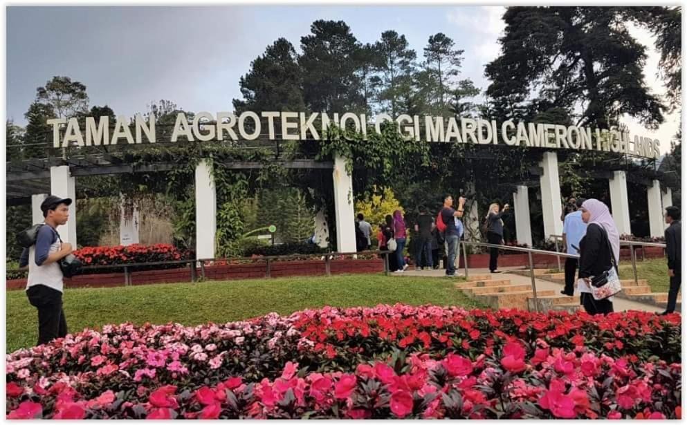 Photo of Buildings in Tanah Rata