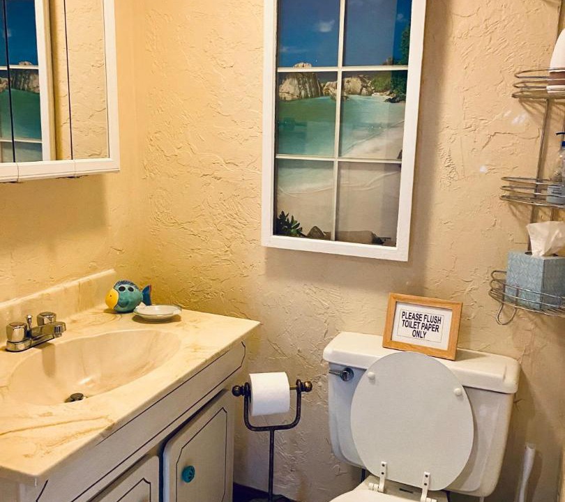 Photo of Others in Plymouth