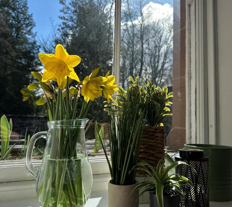 Photo of Others in Marybank