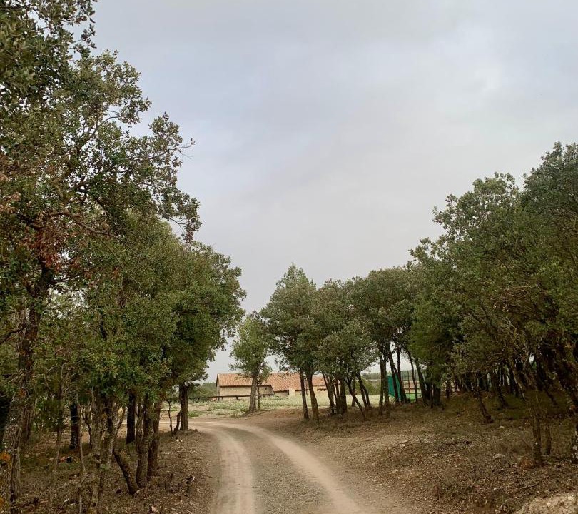 Photo of Others in La Puebla de Valverde