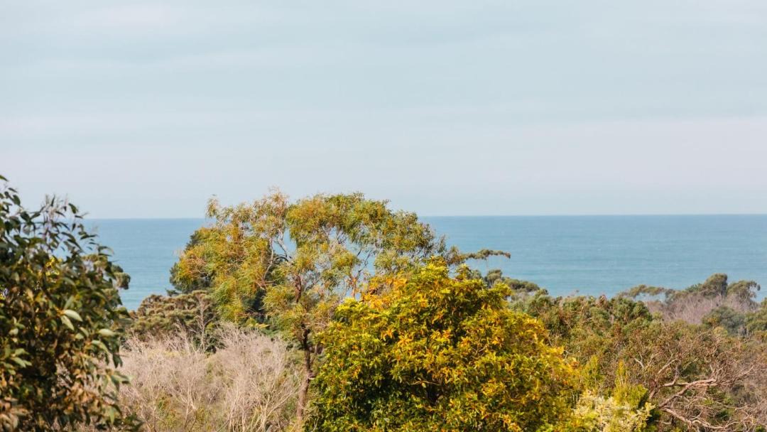 Photo of Outdoor in Shoreham