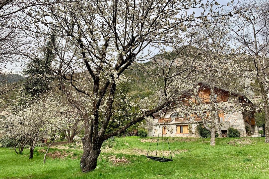 Photo of Others in Valdeblore