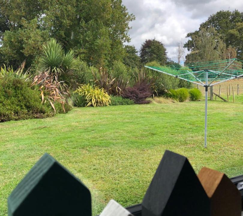 Photo of Others in Matamata