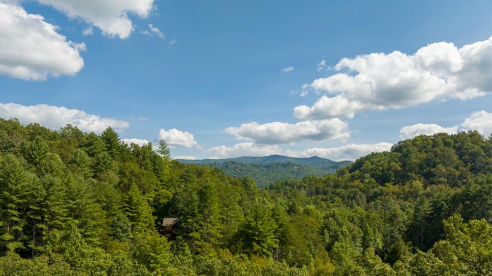 Photo of Outdoor in Foxfire Estates