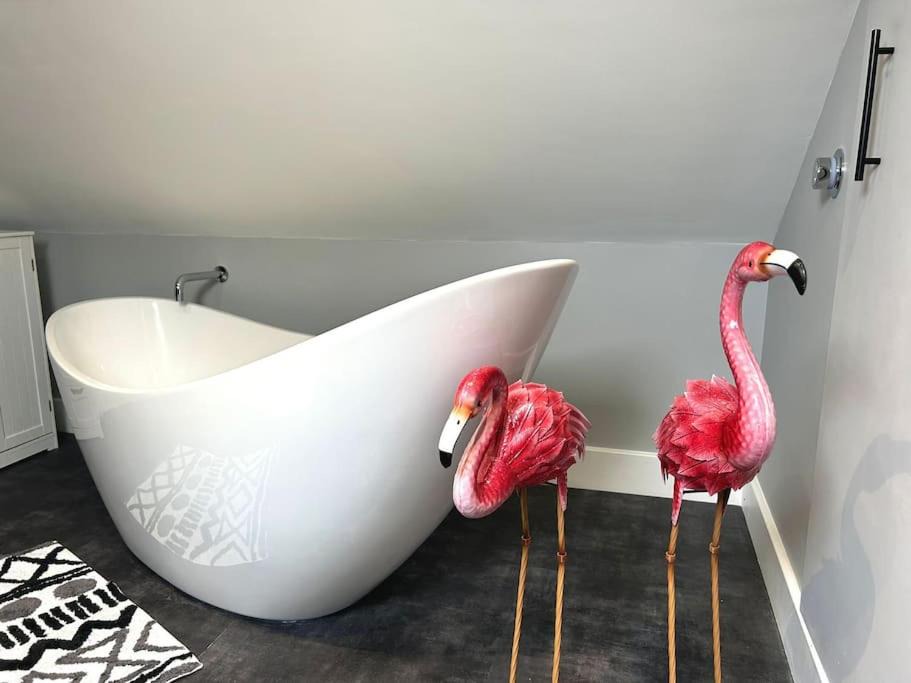 Photo of Others in Norwich