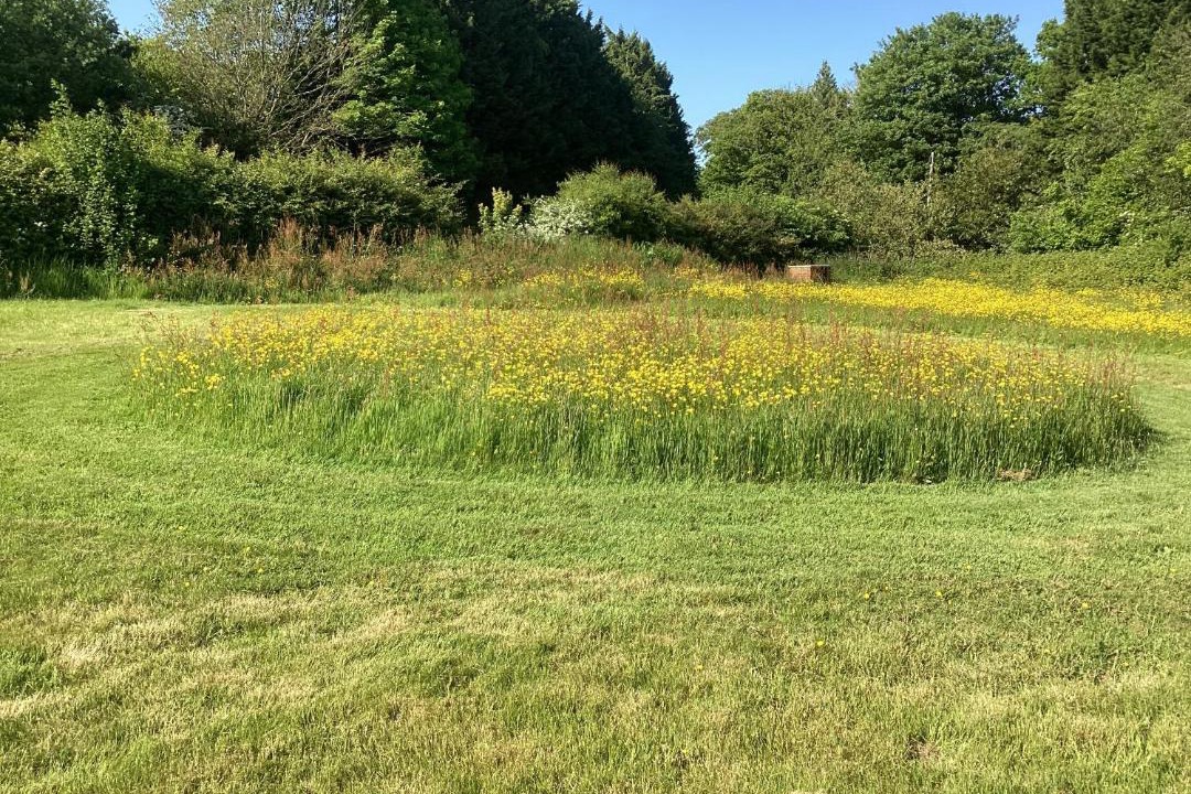 Photo of Others in Fairseat