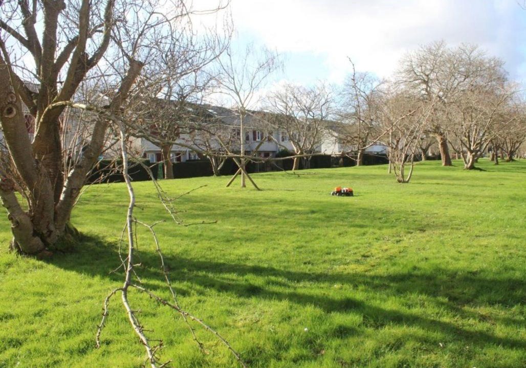 Photo of Others in Le Mesnil-Saint-Denis