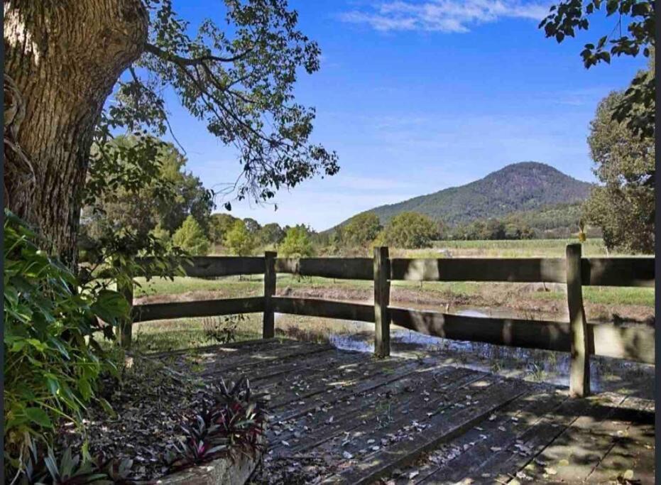 Photo of Others in Eungella