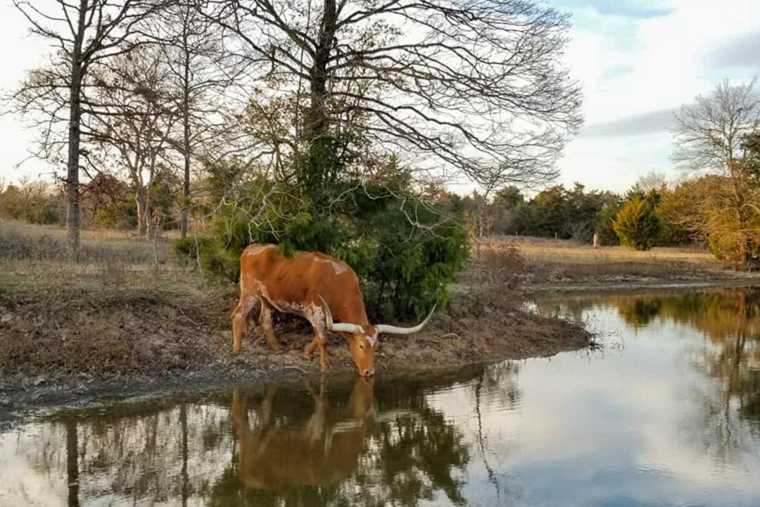 Photo of Others in Groesbeck