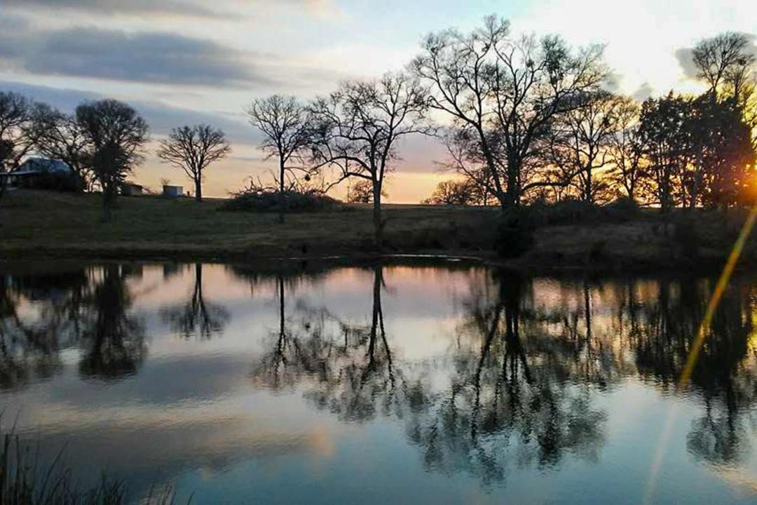Photo of Others in Groesbeck