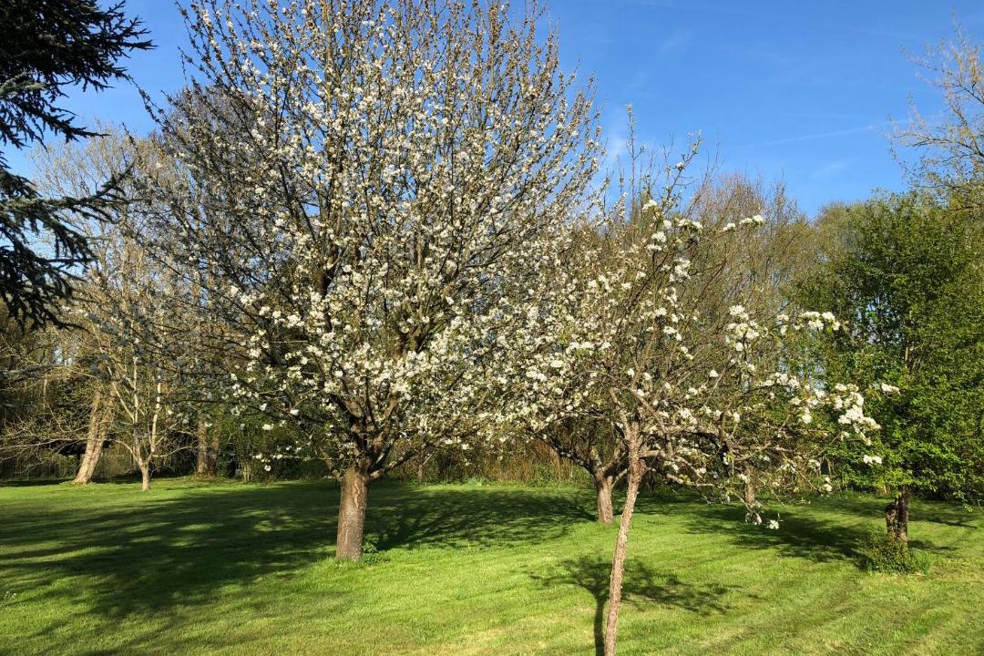 Photo of Others in Forges-les-Bains