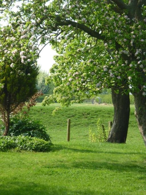 Photo of Others in Lower Dunsforth