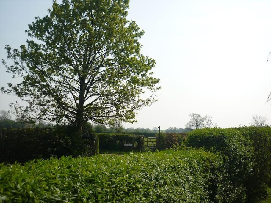 Photo of Others in Lower Dunsforth