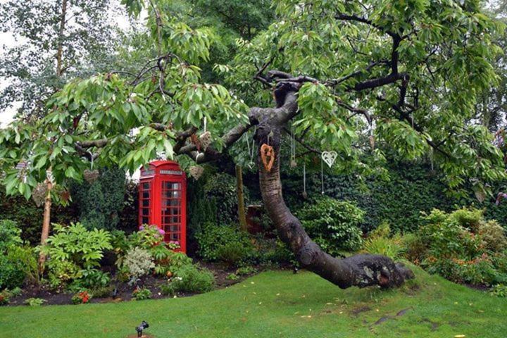 Photo of Others in Ossett