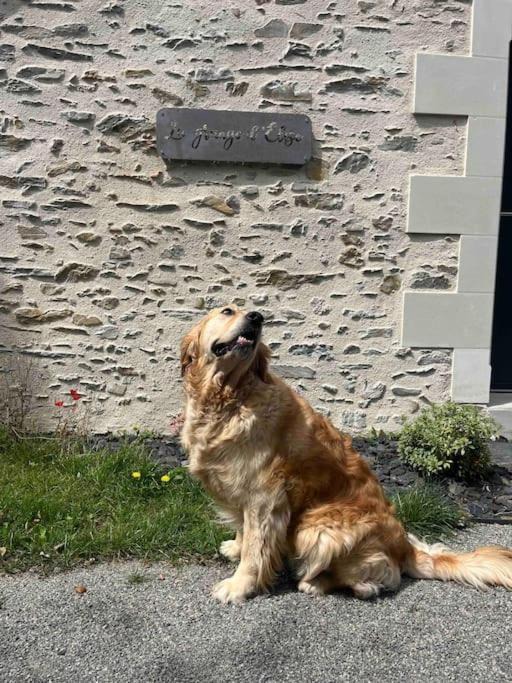 Photo of Others in Soulaines-sur-Aubance