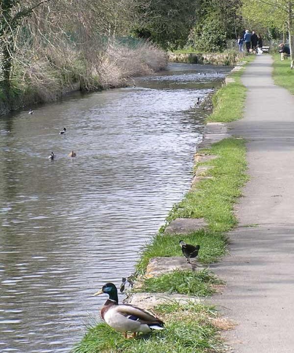 Photo of Others in Dorchester