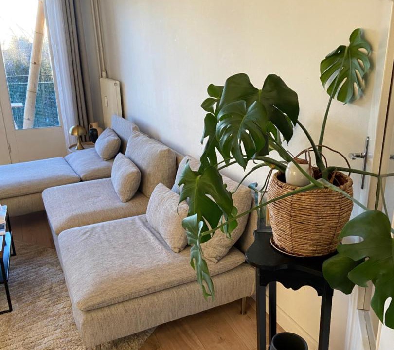 Photo of Livingroom in La Madeleine