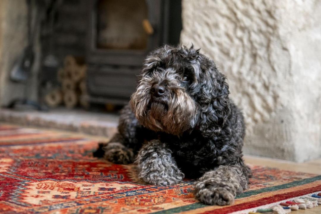 Photo of Bedroom in Middleham