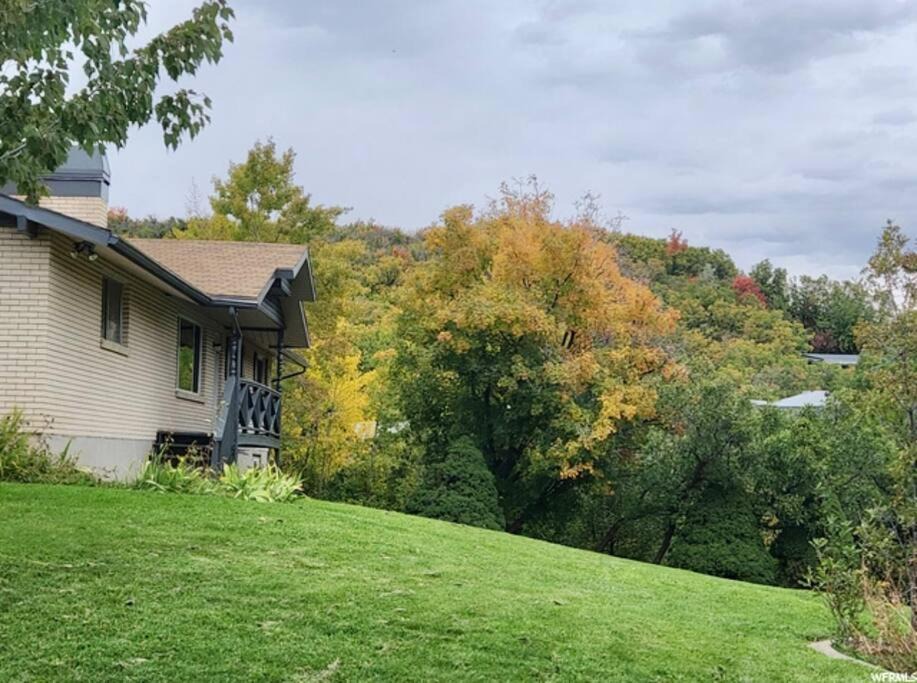 Photo of Buildings in Mountain Green