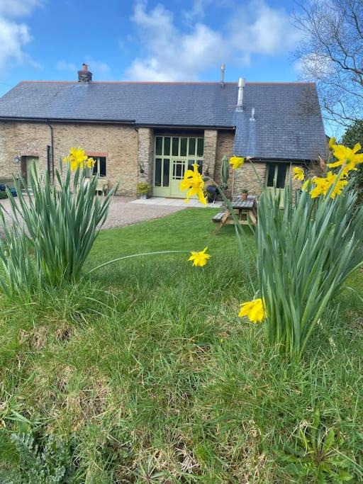 Photo of Buildings in Hele