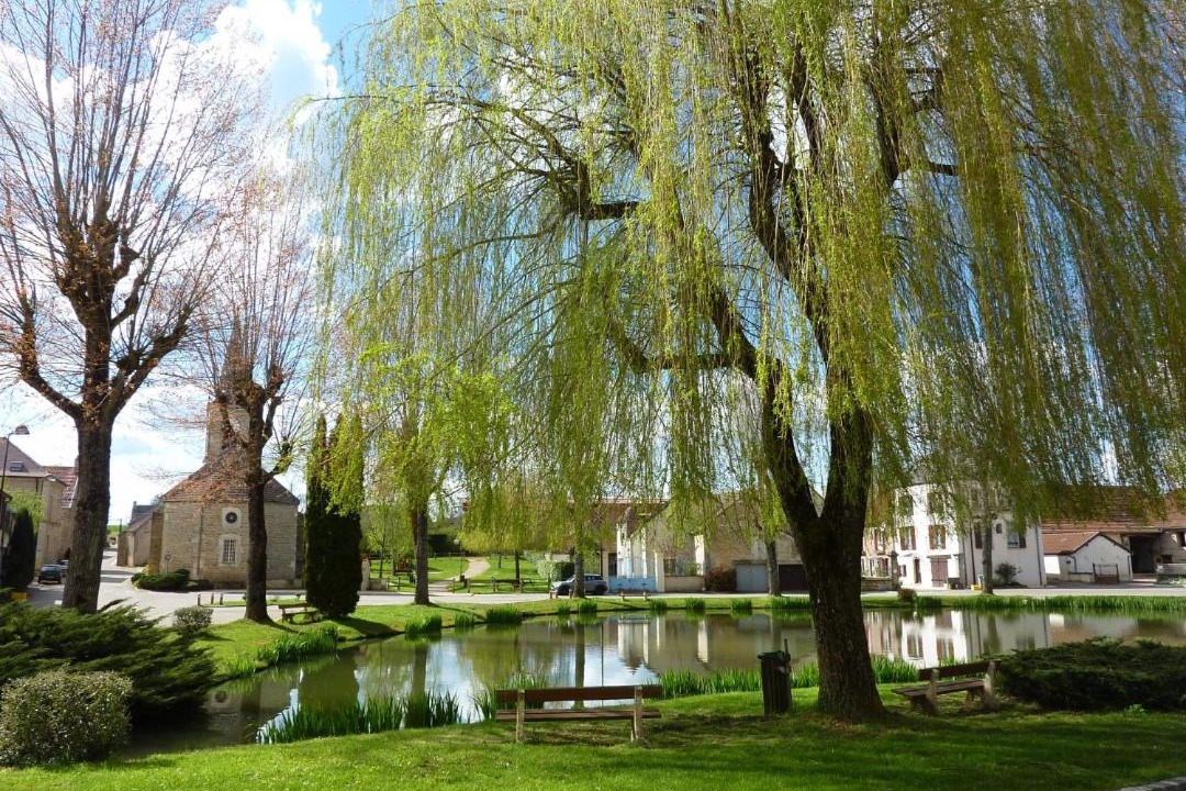 Photo of Others in Prenois